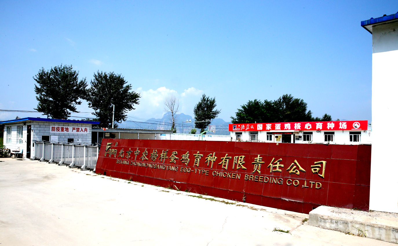北京中農(nóng)榜樣蛋雞育種有限責(zé)任公司