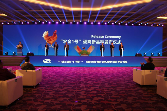 圖片.png