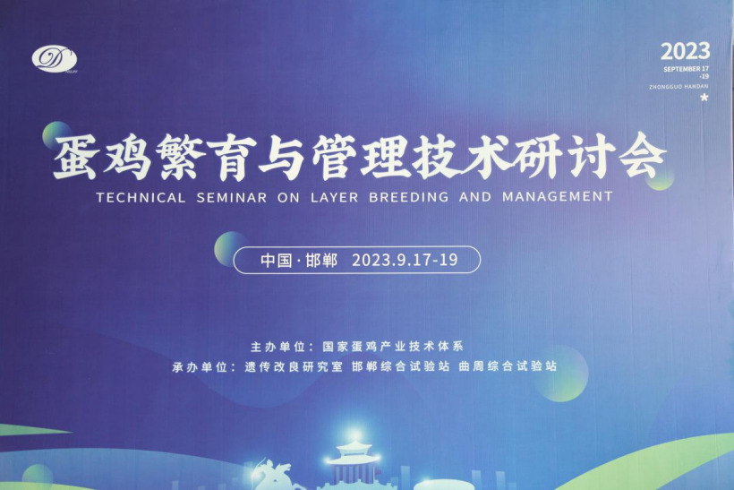 16960013802231.png image.png