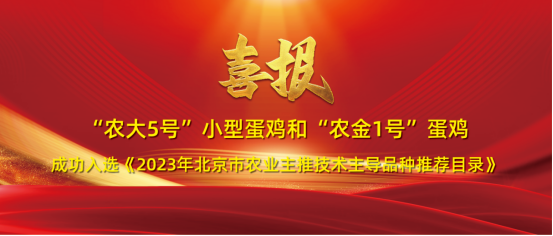 圖片.png