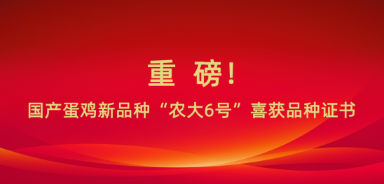 17115314308977.png image.png
